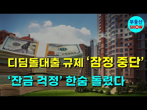 디딤돌대출 규제 잠정 중단! '잔금 걱정' 한숨 돌렸다!