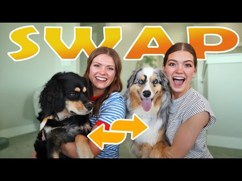 Sisters Swap Dogs for a Day!