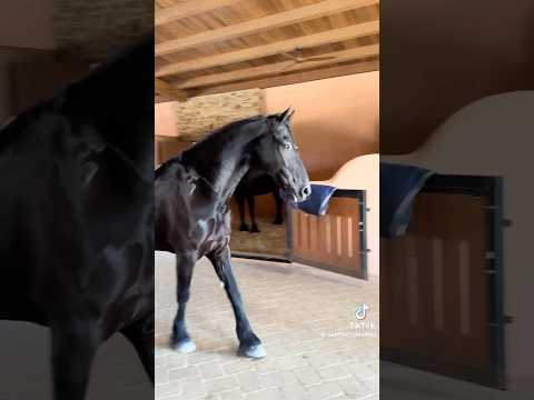 Tik tok di santiserracamps