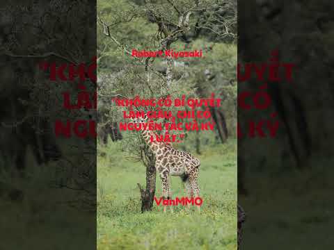 Tận Dụng Cơ Hội