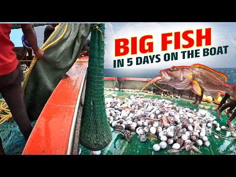 We Stayed in the Deep Sea Fishing Caught lot of Fish's | Kadal TV