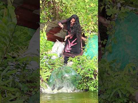 เดเดฑเตเดฑเดตเตเด เดเดธเดฟเดฏเดพเดฏ เดฎเตเตปเดชเดฟเดเตเดคเตเดคเด | Easy Fishing | Eliza Creations #shorts #fishing