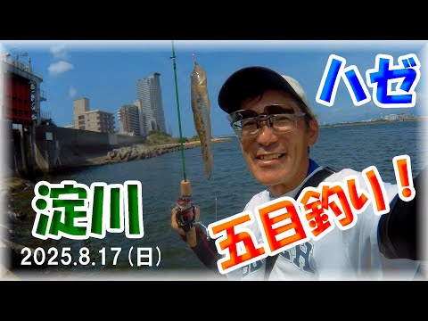【真夏のハゼ釣り・大阪淀川】ヤバい!ちょい投げ&のべ竿ミャク釣りでマハゼ&ウロハゼ数釣り!鱒レンジャーダイソーレンジャー・大阪海釣り・伝法大橋・フィッシングMAX・キビレ・セイゴ・マゴチ五目釣り!