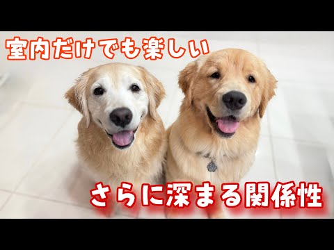 【3姉妹旅4】暑いから室内で過ごしただけなのに凄く楽しいオラヴィマジック更に深まる関係性