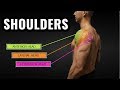 Shoulder Training and Anatomy Concepts