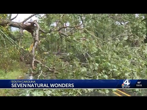 YouTube video thumbnail: South Carolina Seven Expedition Explores the State's Outdoors