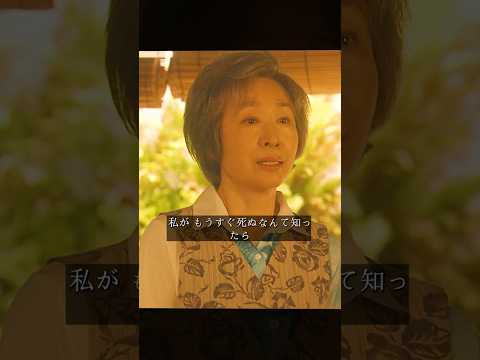 娘と母親の戦争が始まるのか？#映画 #movie #shorts