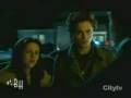 TwilightersNetwork