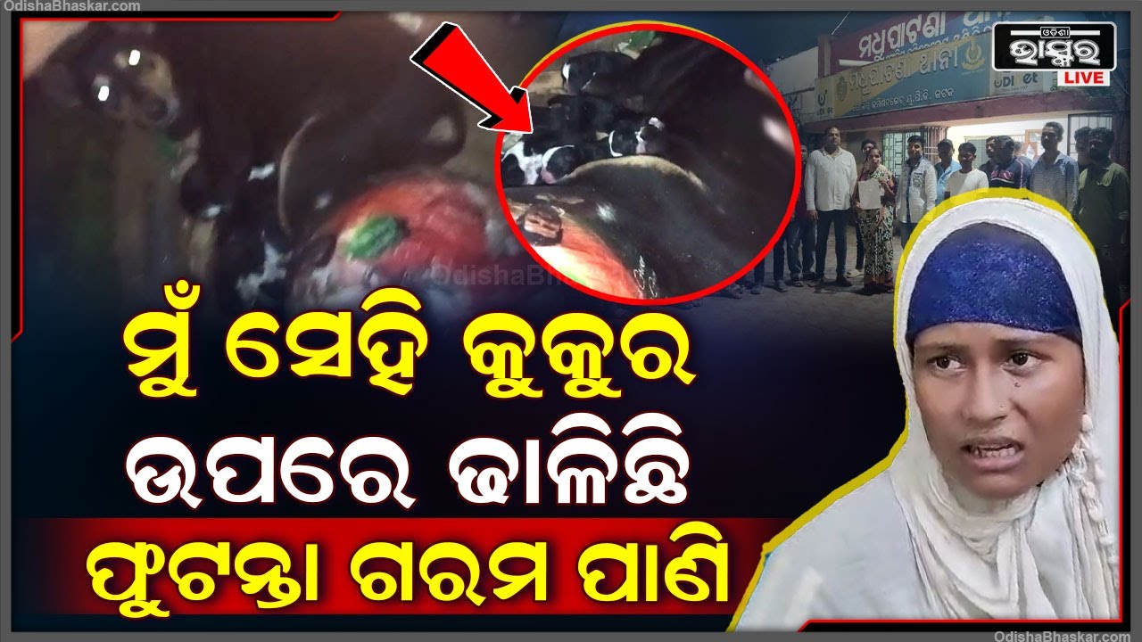୬ ଛୁଆ ସହ ମା' କୁକୁର କାନ୍ଦୁଛି.. ମହିଳା ଯିବେ ଜେଲ୍ ! ଅମଣିଷ ପରି ଗରମ ପାଣି ଢାଳିଦେଇଥିଲେ ।