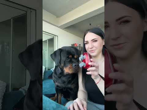 The look on his face at the end of the video ๐คฃ ๐คฃ