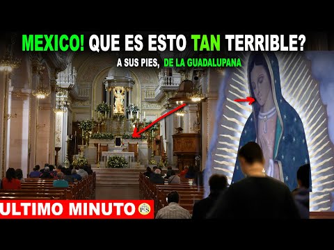 MEXICO, QUÉ ES ESTO TAN TERRIBLE QUE SUCEDIÓ A LOS PIES DE LA GUADALUPANA?