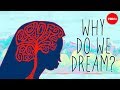 Understanding Dreams: Theories and Purposes
