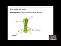 DNA and Genetic Material Concepts