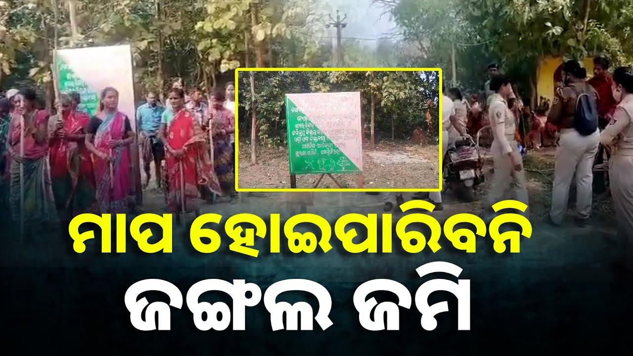 ସଂରକ୍ଷିତ ଜଙ୍ଗଲ ଜମି ମାପ ଚୁପକୁ ଆଦିବାସୀଙ୍କ ବିରୋଧ || Knews Odisha
