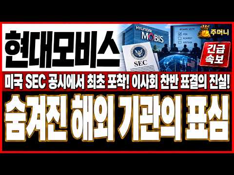 [현대모비스 주가전망] 외국인이 사준다고 좋아하고 계십니까, 미국 SEC 투표 보고서 표결 결과 보고 가슴 철렁할 소식.(휴일 요약 재방)