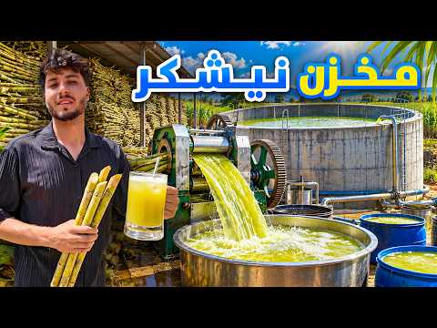 شهر ما - گزارش سمیع الله ظفر از سرای پروسس نیشکر در تانک لوگر