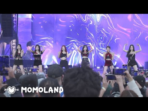 KAMP LA 2022 비하인드