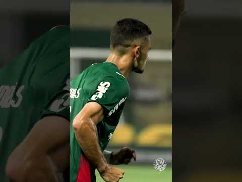 image para ilustrar o artigo