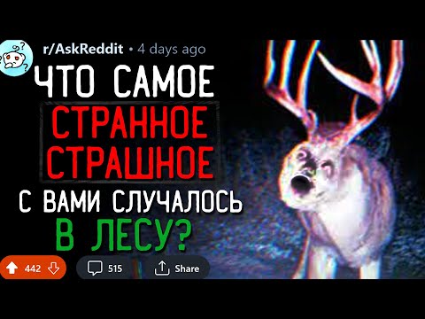 Что Самое Странное/Страшное Вы Видели в ЛЕСУ? #6