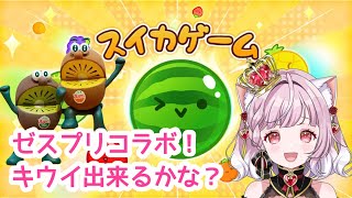 【 #スイカゲーム 】🥝期間限定🥝ゼスプリとコラボ！キウイ出来るかな？💗【#猫姫ちゅんちゅん  #vtuber 】