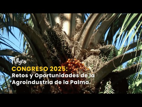 YouTube video thumbnail: Congress 2025: Challenges and Opportunities for the Palm Agroindustry