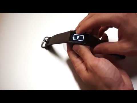 Reset and Factory Reset Fitbit Charge 3 (Quick & Easy)