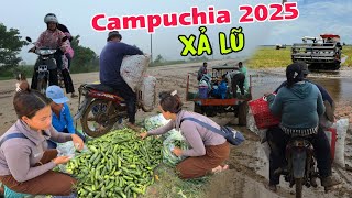 Qua Campuchia XẢ LŨ MƯA dữ dội - Cuộc sống người Việt bên đất Campuchia mùa nước lên 2025