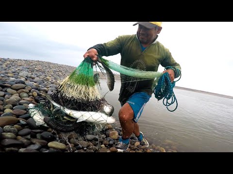 El Mar y el Río se unieron para Regalarles una Pesca llena de Sorpresas