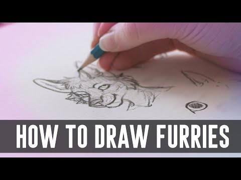 How to draw furries! - YouTube