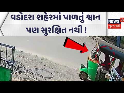 Vadodara  Dog Theft News | વડોદરા શહેરમાં પાળતું શ્વાન પણ સુરક્ષિત નથી !| Gujarati Samachar | News18