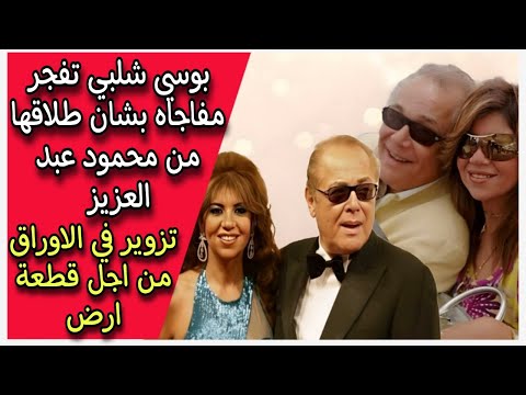 بوسي شلبي تفجر مفاجاه بشان طلاقها من محمود عبد العزيز تزوير في الاوراق من اجل قطعة ارض