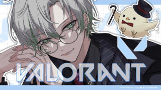 【VALORANT】Jade Cupスクリム！集大成見せますかあ…【新人Vtuber/桐海めかぶ】