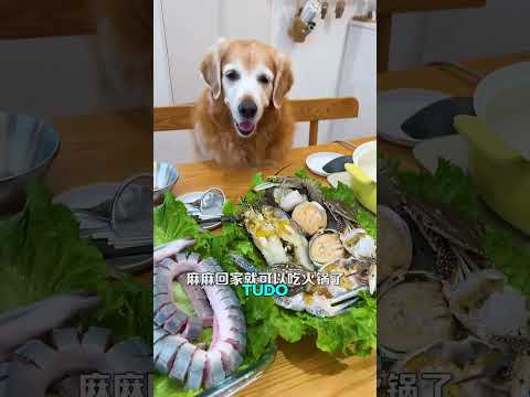 Peguei peixe para a mamãe #shorts #shortvideo #youtubeshorts