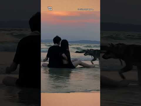 Cẩu lương chạm mặt cẩu ca và pha check vả ngay trên bãi biển