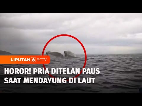 Horor! Ayah Rekam Detik-Detik Anaknya Ditelan Paus di Laut | Liputan 6