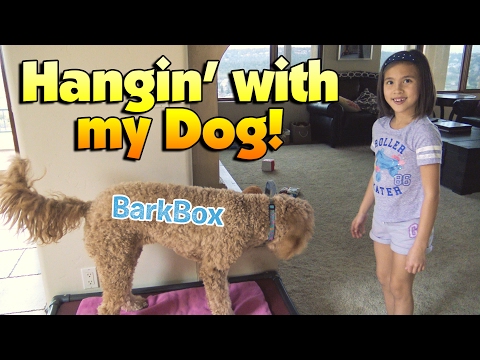 HANGIN' with MY DOG!!! Doggy Salon & BarkBox Treat Time!