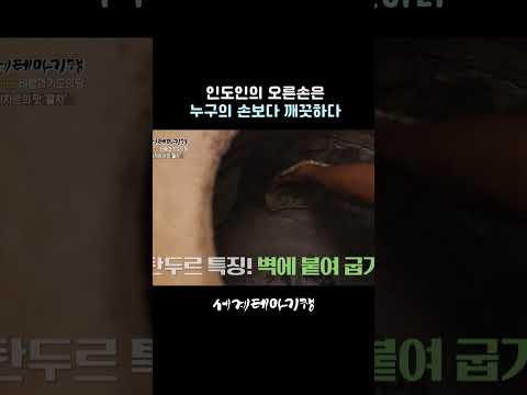 인도 현지인처럼 손으로 음식 먹는 법 #shorts #세테깅