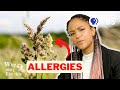 Understanding Allergic Reactions and Immunity