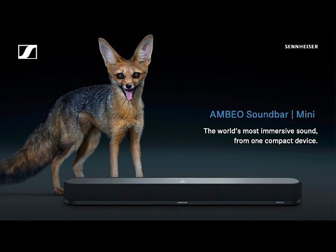 Introducing the AMBEO Soundbar Mini | Sennheiser