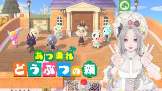 419回目 /【 ＃あつ森 】switch2Edition❤️肋骨骨折により、少し短め配信♪【#Vtuber】雛（suu)