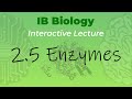 Enzyme Function and Activity Concepts