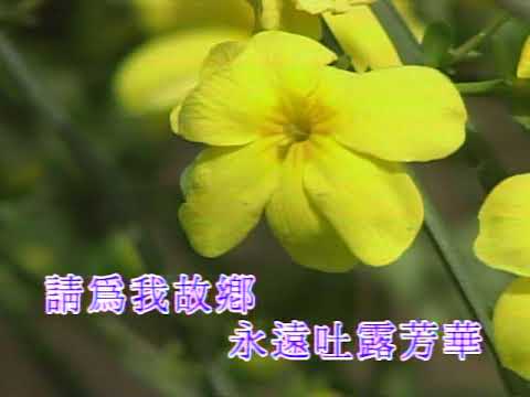 伴唱：雪絨花