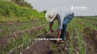 WANU: Honrando nuestras raíces, cultivando el futuro 🌱