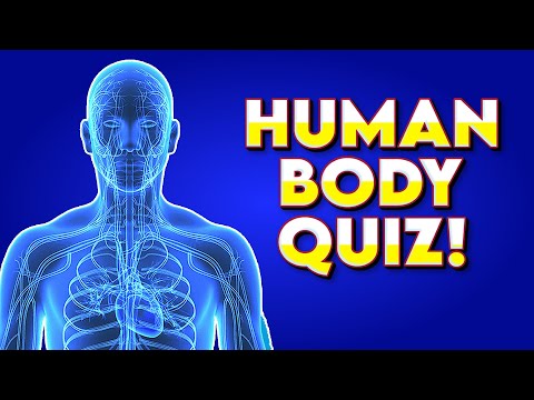 Can You Pass This Human Body Quiz? 🧠 General Knowledge Trivia Quiz