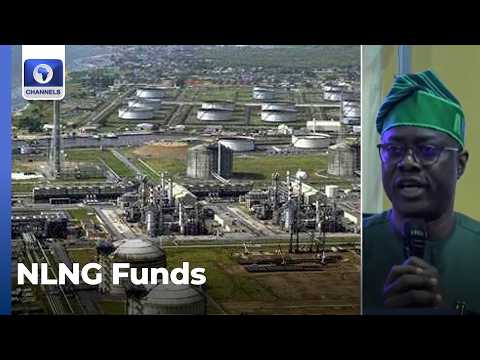 NLNG Dividend Provide Amount Meant For States And LG, Makinde Tells FG