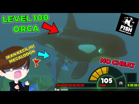 Aku Berhasil Kalahkan MEGALODON - Fish Feed And Grow