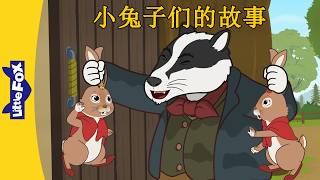 彼得兔和朋友们🐰 Peter Rabbit and Friends｜小兔子们遇见獾托美 1~4｜Classic｜Chinese Stories for Kids