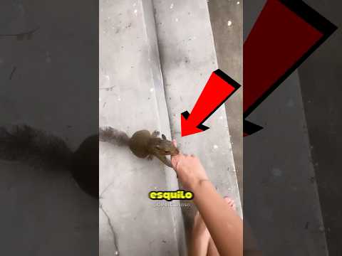 Ele segurou a mão da mulher e mostrou algo muito fofo 🥰❤️🩹