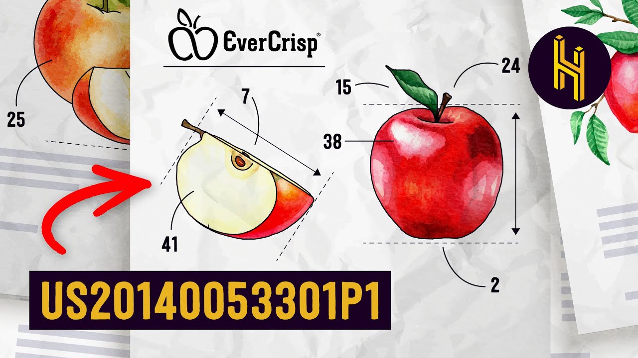 The 19 Year Process of Inventing a New Apple