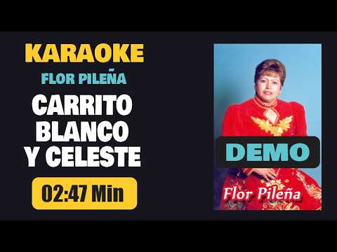 Karaoke Demo | CARRITO BLANCO Y CELESTE – Flor Pileña [Letra]